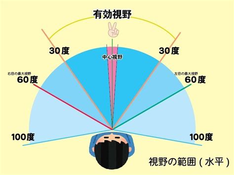 人 視野 角度